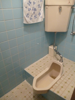 �摜(239x320)�E�g��摜(250x334)