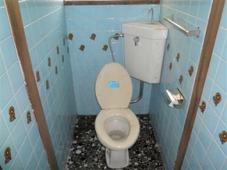 �摜(320x240)�E�g��摜(384x288)