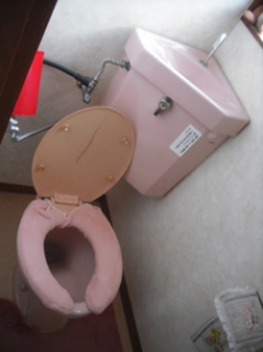 �摜(239x320)�E�g��摜(250x334)