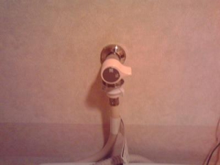 �摜(320x240)�E�g��摜(400x300)