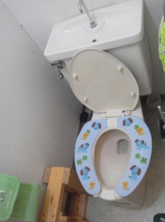 �摜(239x320)�E�g��摜(250x334)