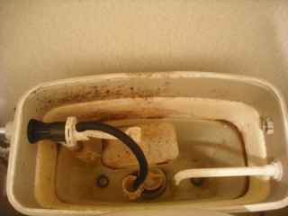 �摜(320x240)�E�g��摜(400x300)