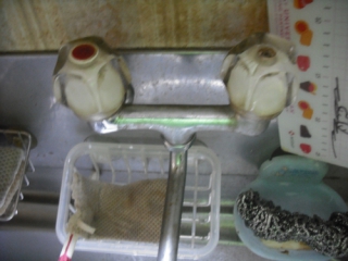 �摜(320x240)�E�g��摜(500x375)