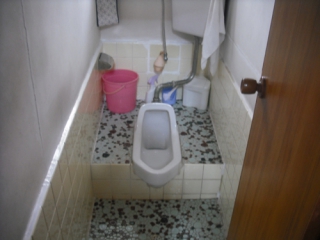 �摜(320x240)�E�g��摜(500x375)