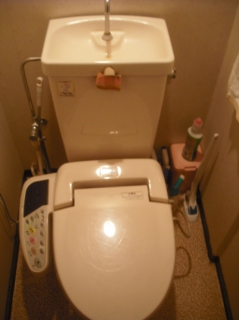 �摜(239x320)�E�g��摜(494x660)