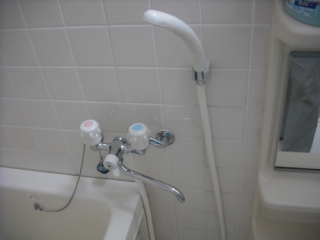 �摜(320x240)�E�g��摜(500x375)