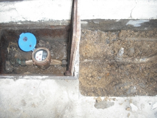 �摜(320x240)�E�g��摜(500x375)