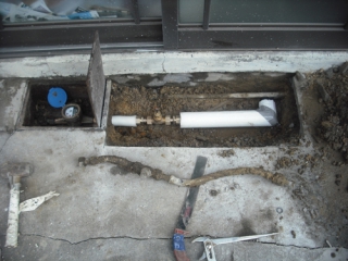 �摜(320x240)�E�g��摜(500x375)