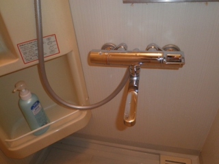 �摜(320x240)�E�g��摜(500x375)