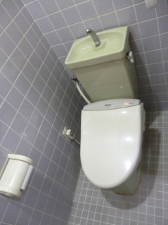 �摜(239x320)�E�g��摜(494x660)