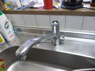 �摜(320x240)�E�g��摜(500x375)