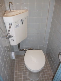 �摜(240x320)�E�g��摜(495x660)