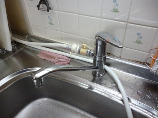 �摜(320x240)�E�g��摜(500x375)