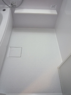 �摜(239x320)�E�g��摜(494x660)