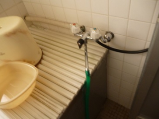 �摜(320x240)�E�g��摜(365x274)