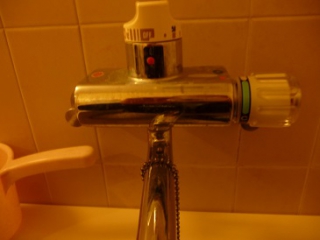 �摜(320x240)�E�g��摜(365x274)