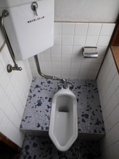 �摜(239x320)�E�g��摜(245x327)