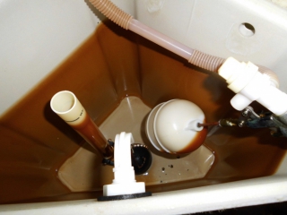 �摜(320x240)�E�g��摜(660x495)