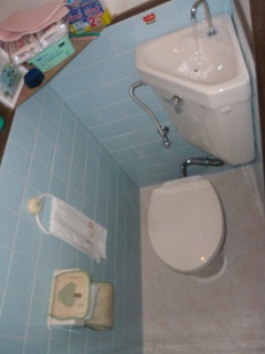 �摜(240x320)�E�g��摜(274x365)