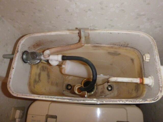 �摜(320x240)�E�g��摜(640x480)