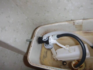 �摜(320x240)�E�g��摜(640x480)