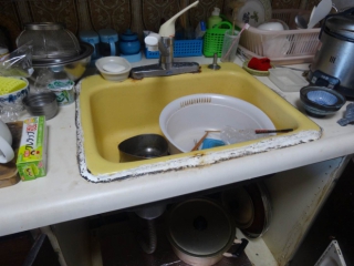 �摜(320x240)�E�g��摜(660x495)