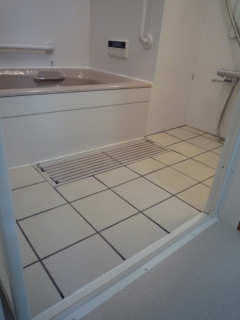 �摜(240x320)�E�g��摜(495x660)