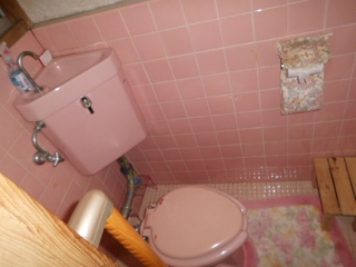 �摜(320x240)�E�g��摜(410x308)