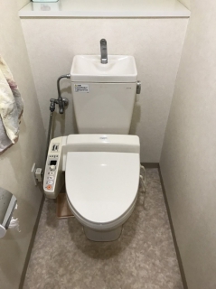 �摜(239x320)�E�g��摜(494x660)