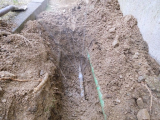 �摜(320x240)�E�g��摜(512x384)