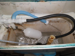 �摜(320x240)�E�g��摜(660x495)