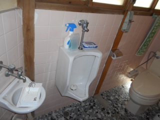 �摜(320x240)�E�g��摜(660x495)