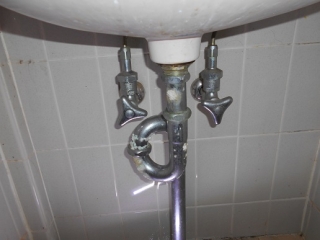 �摜(320x240)�E�g��摜(516x387)