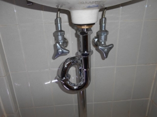 �摜(320x240)�E�g��摜(516x387)