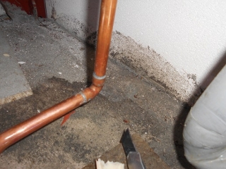 �摜(320x240)�E�g��摜(516x387)