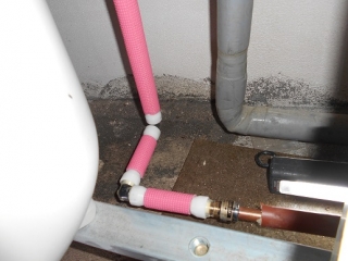 �摜(320x240)�E�g��摜(516x387)