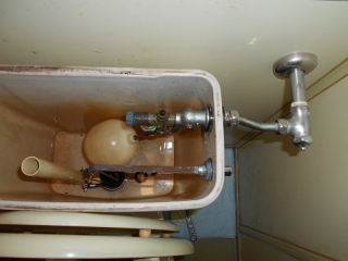 �摜(320x240)�E�g��摜(516x387)