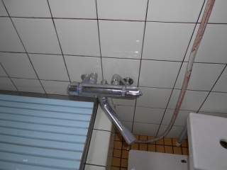 �摜(320x240)�E�g��摜(516x387)