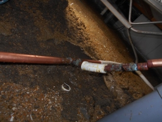 �摜(320x240)�E�g��摜(516x387)