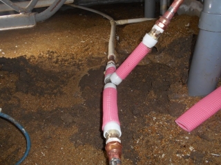 �摜(320x240)�E�g��摜(516x387)