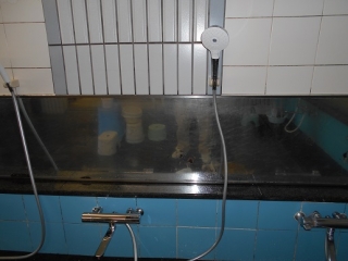 �摜(320x240)�E�g��摜(516x387)