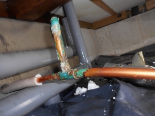 �摜(320x240)�E�g��摜(516x387)