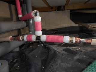 �摜(320x240)�E�g��摜(516x387)