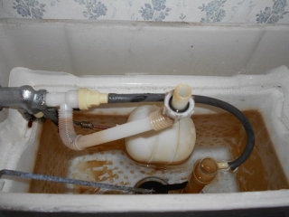 �摜(320x240)�E�g��摜(516x387)