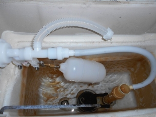 �摜(320x240)�E�g��摜(516x387)