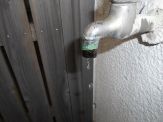 �摜(320x240)�E�g��摜(516x387)