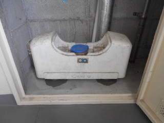 �摜(320x240)�E�g��摜(480x360)