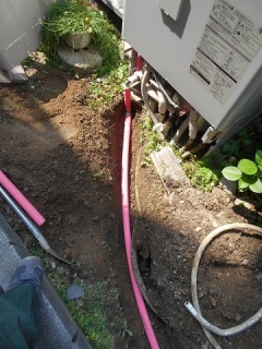 �摜(240x320)�E�g��摜(360x480)