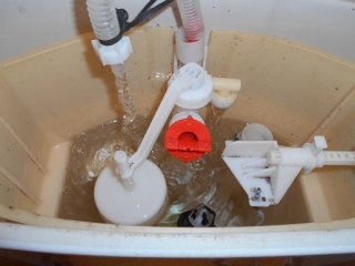 �摜(320x240)�E�g��摜(516x387)