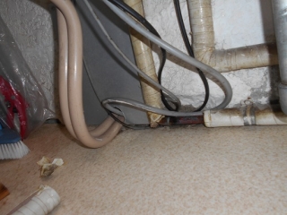 �摜(320x240)�E�g��摜(516x387)